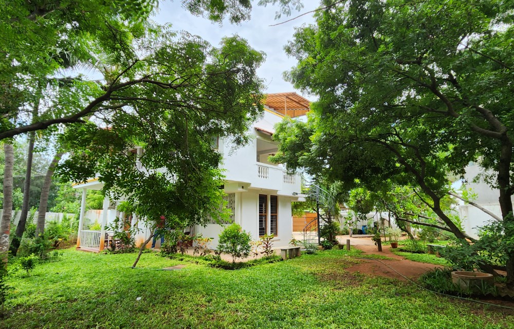 Angel Beach Villas About Us Pictures